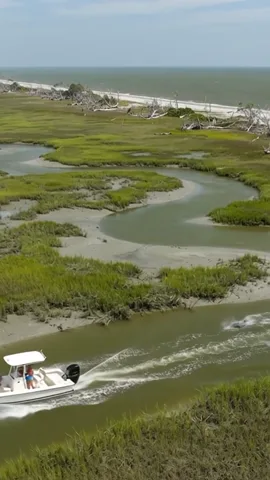 Centre crop of the aerial shot, showing empty marsh